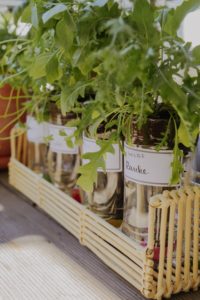 DIY Self Watering Bottles